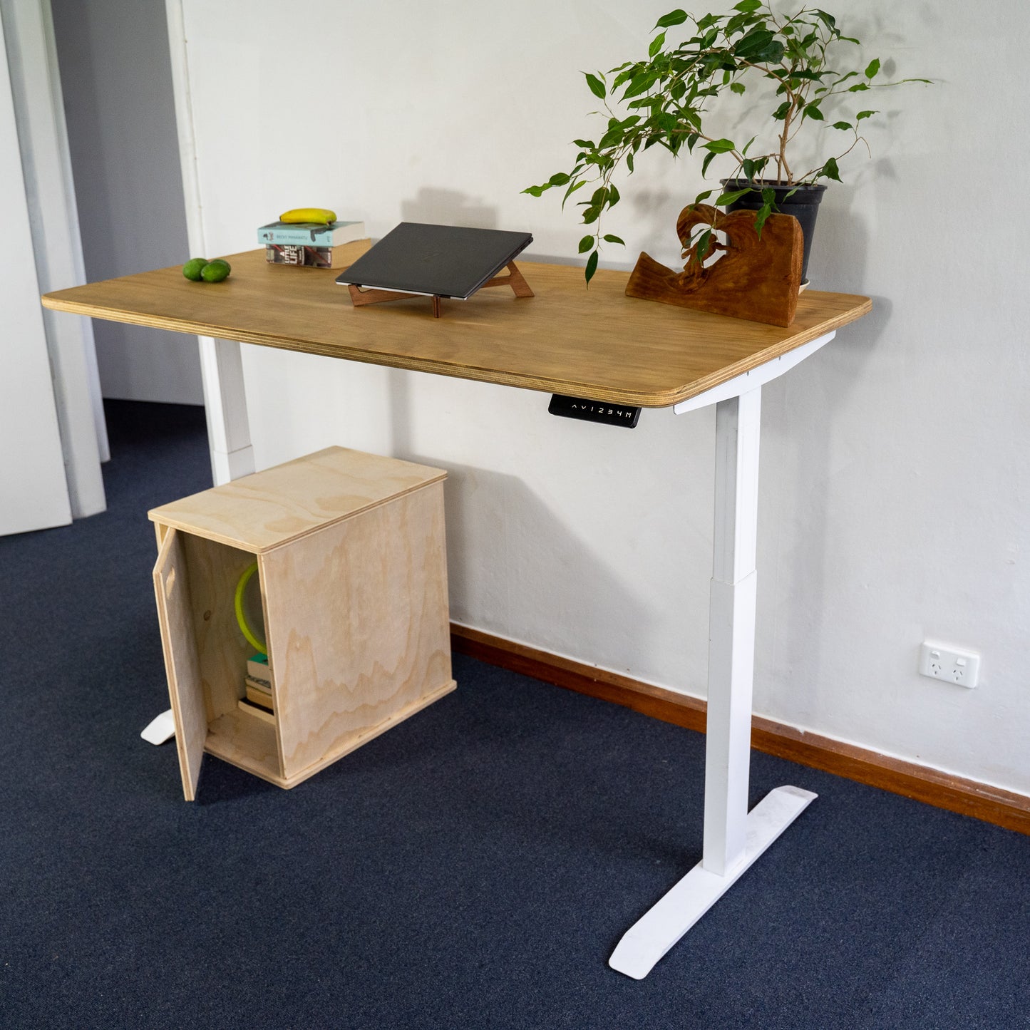 Sit Stand Electric Desk