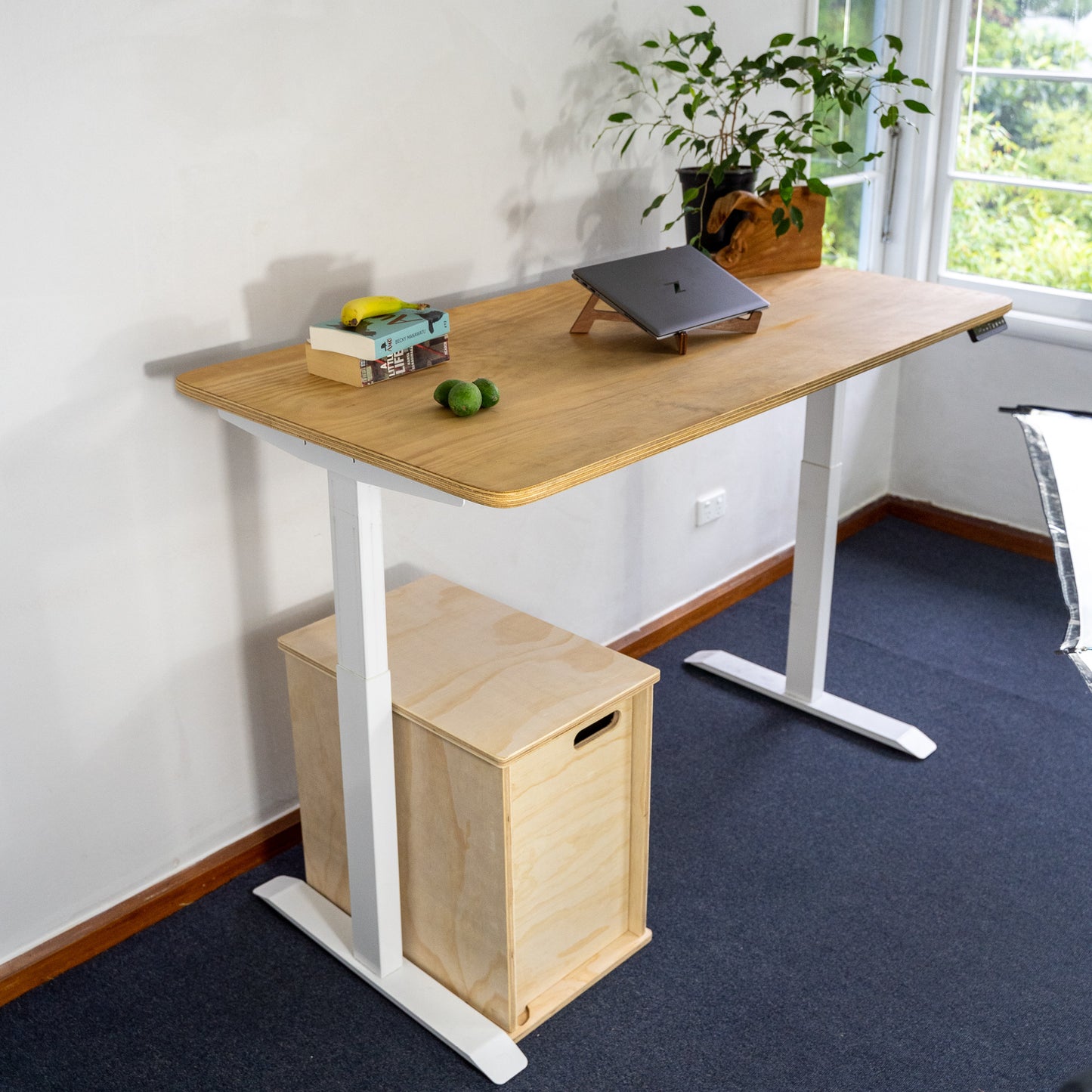 Sit Stand Electric Desk