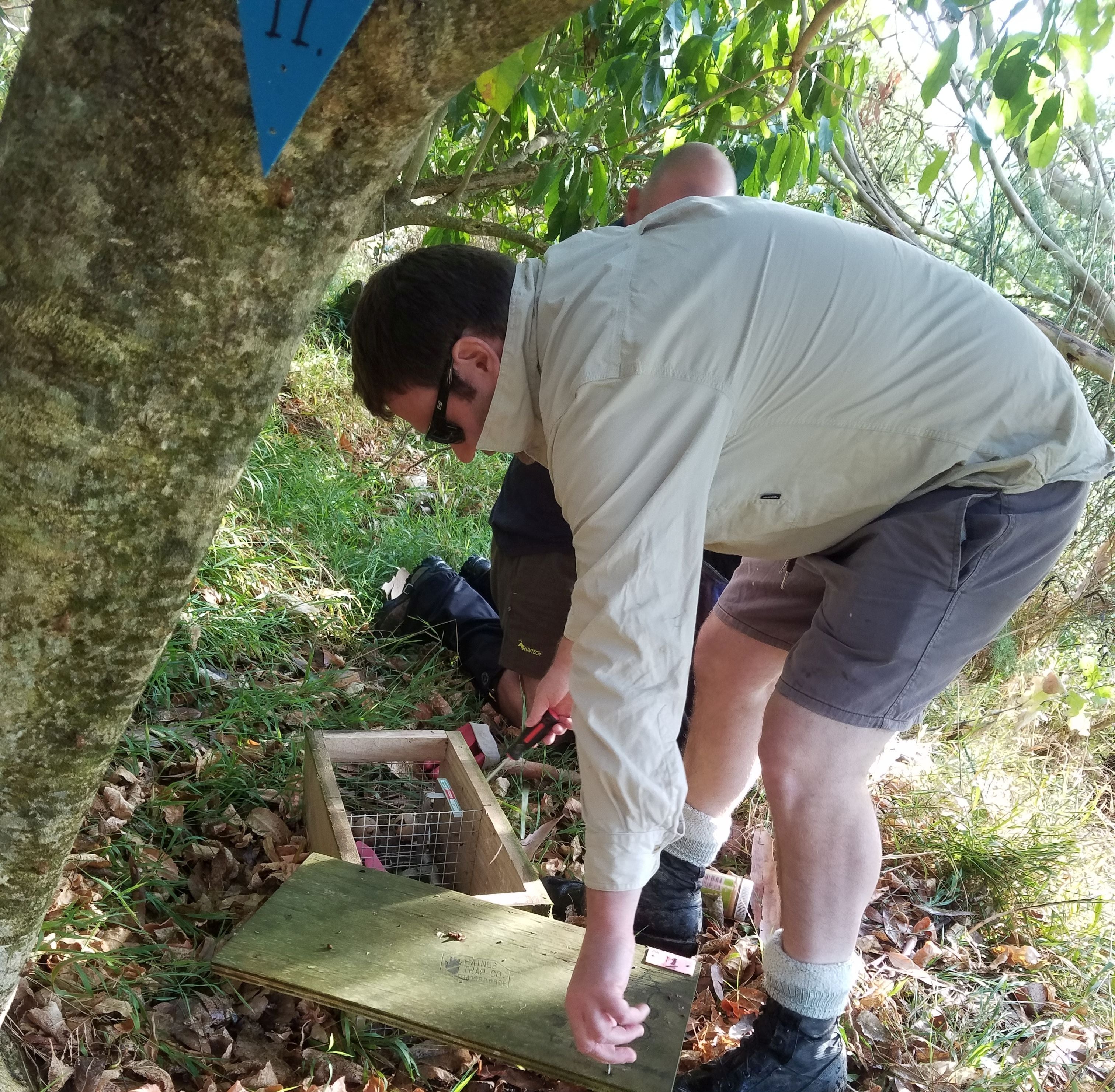 Urban Trapping on The Miramar Peninsula