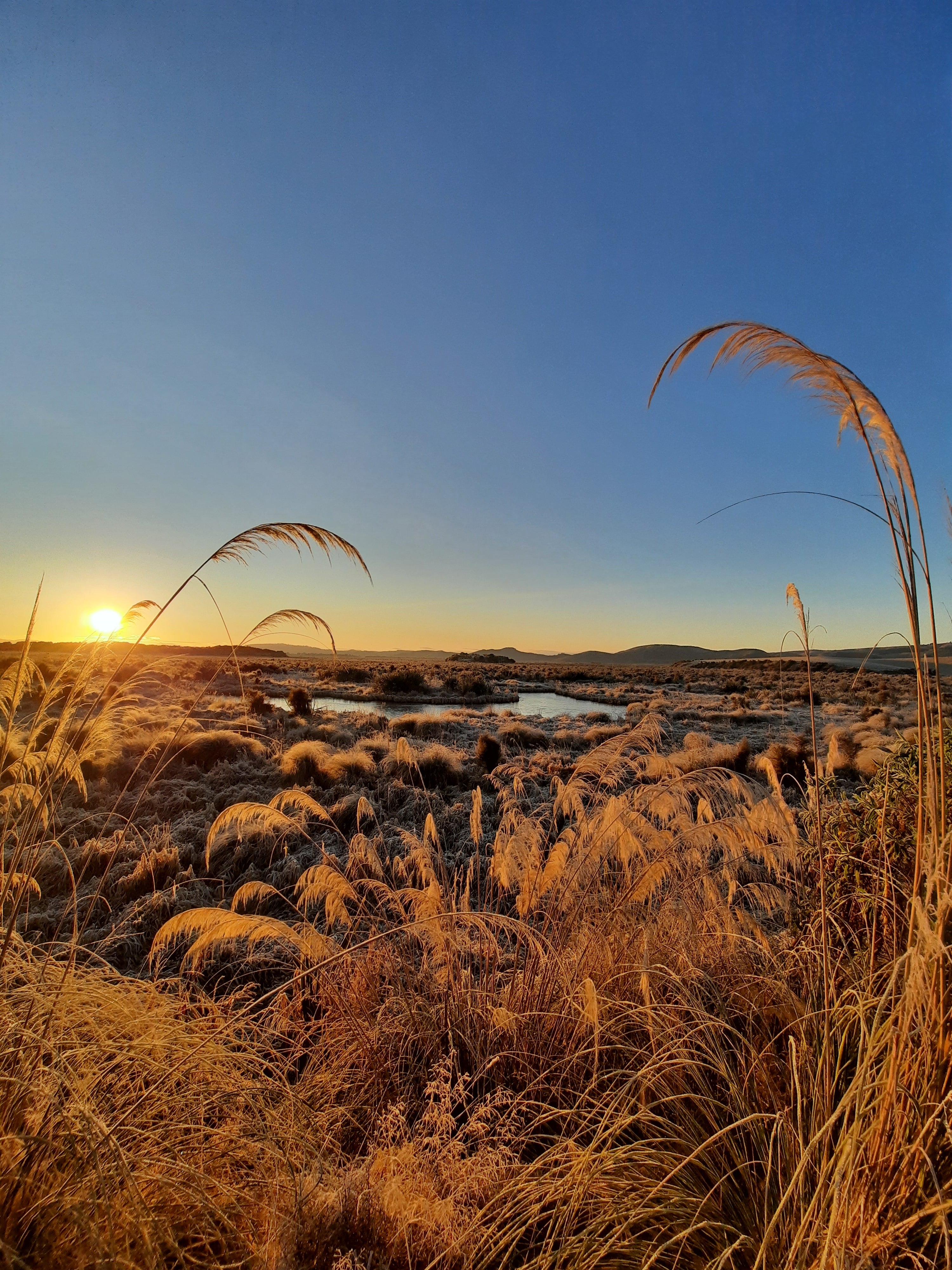 Sinclair Wetlands