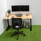 Sit Stand Electric Desk