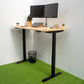 Sit Stand Electric Desk