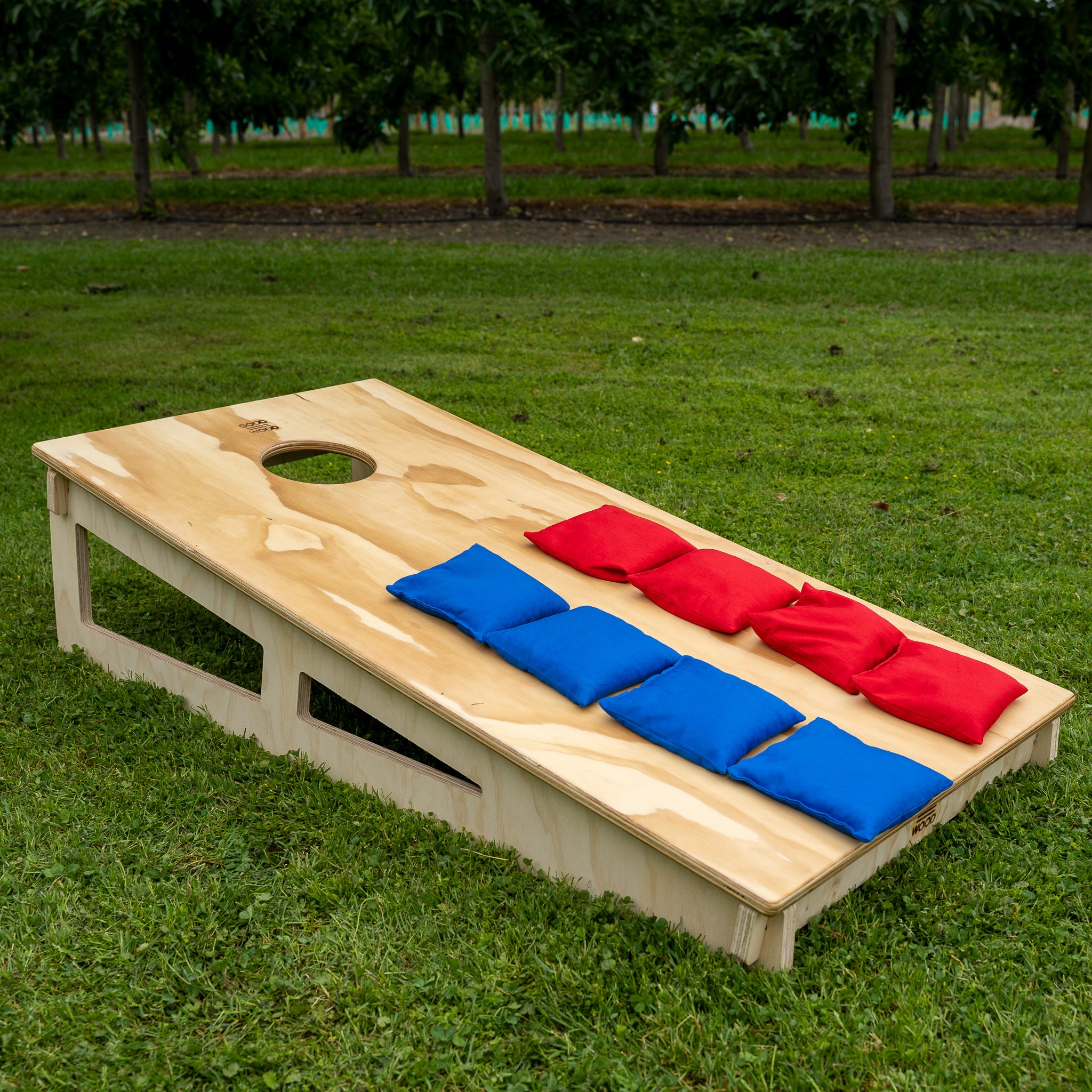 Cornhole Backyard Game