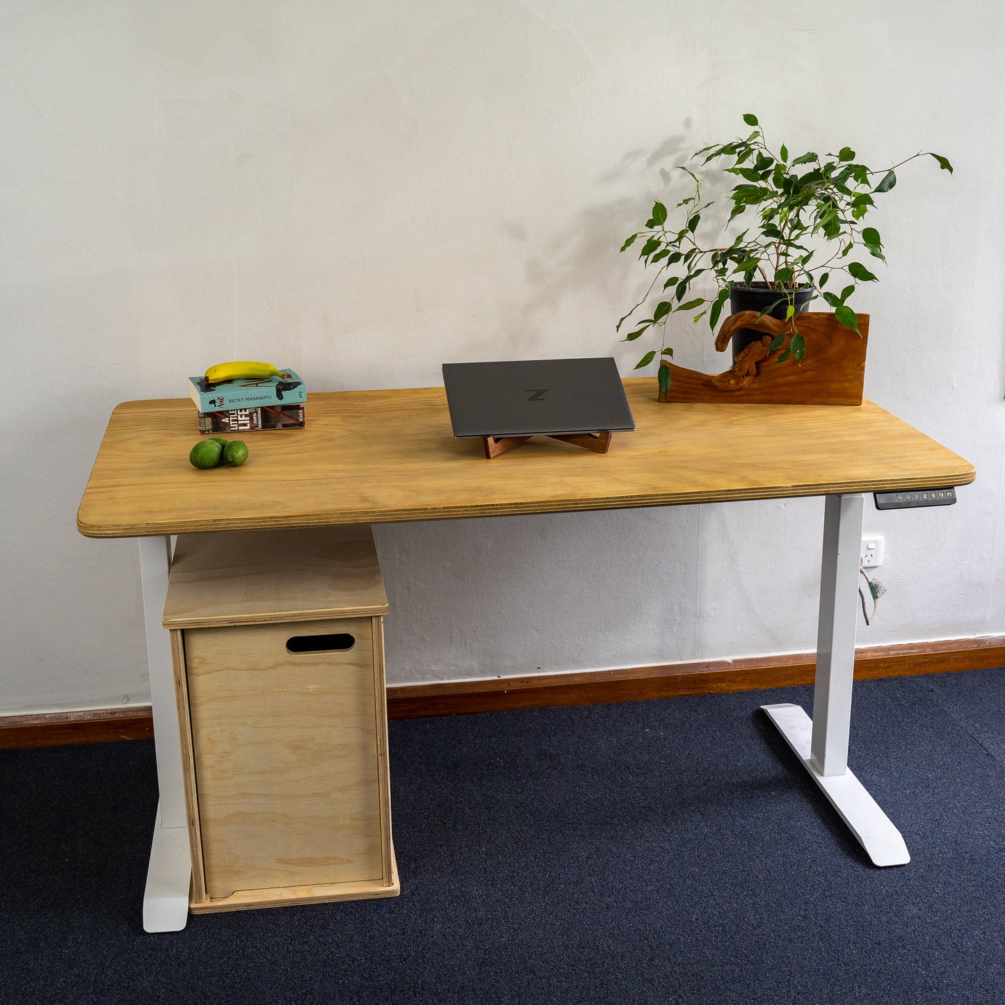 Sit Stand Electric Desk