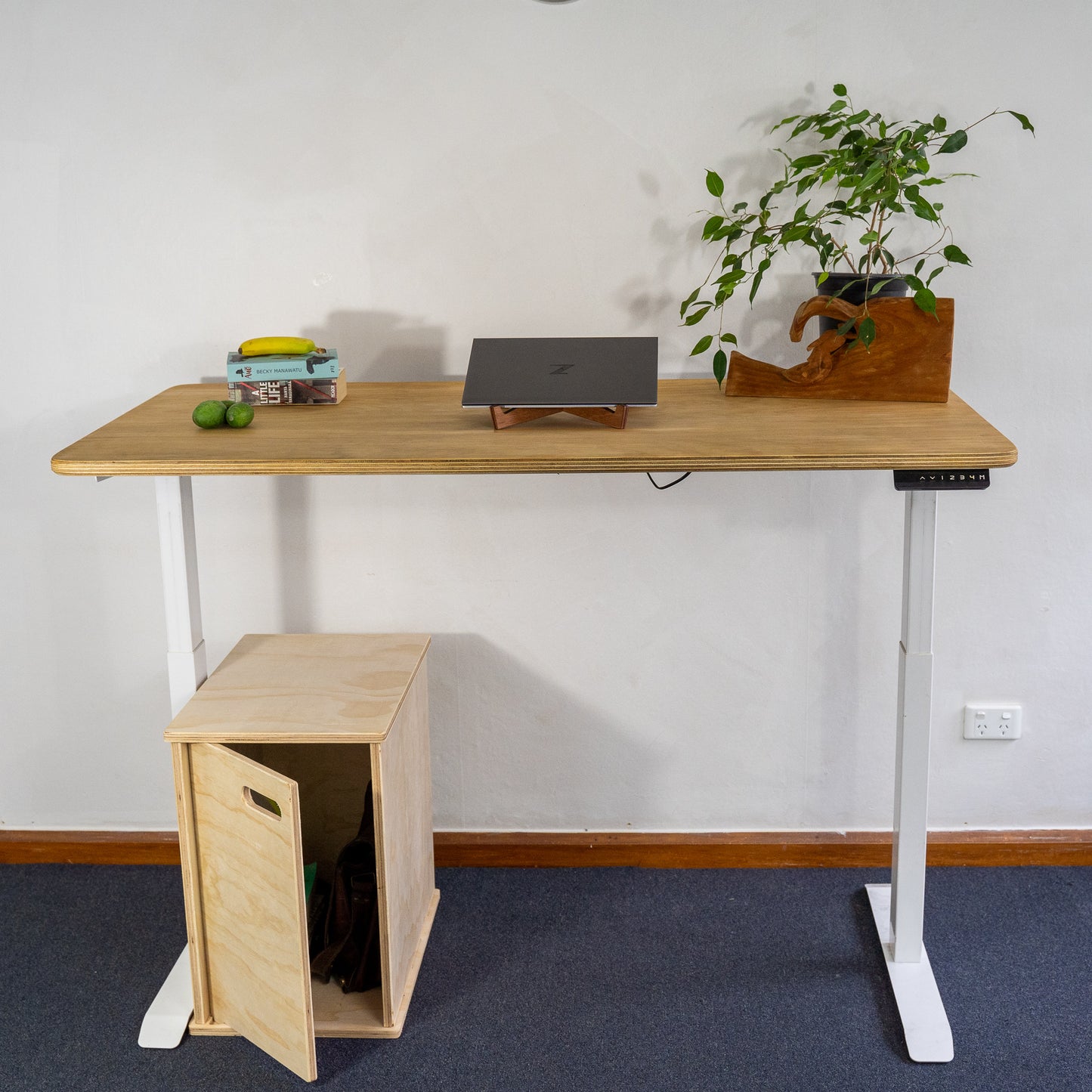 Sit Stand Electric Desk