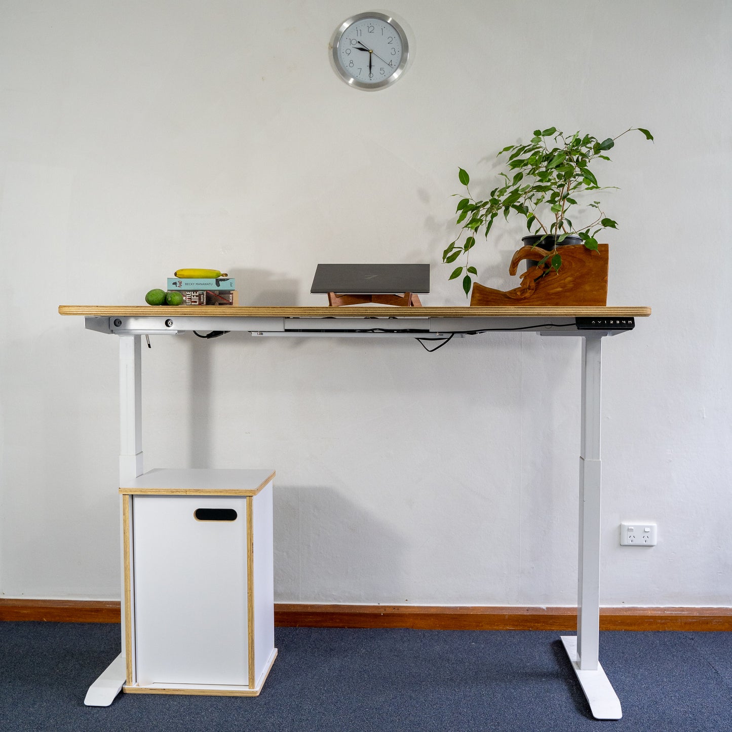 Sit Stand Electric Desk